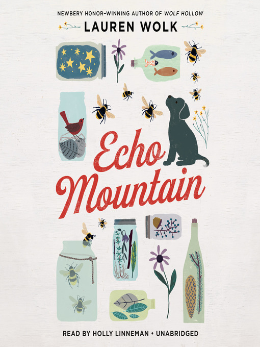 Title details for Echo Mountain by Lauren Wolk - Wait list